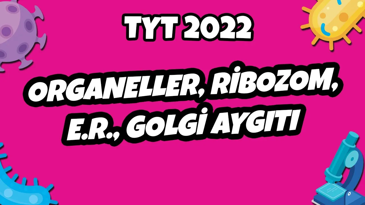 Organeller, Ribozom, E.R., Golgi Aygıtı | TYT Biyoloji 2022 #hedefekoş