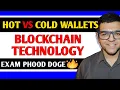 Hot vs Cold Wallet in Blockchain Technology