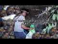 Download Lagu Bertahan hidup di hutan menyusuri sungai mencari keong untuk mengisi perut warta petani muda