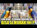 Download Lagu UPDATE HARGA TLEDEKAN GUNUNG ORI BROMO ! TERNYATA CUMA SEGINI HARGANYA PANTES DICARI BANYAK ORANG