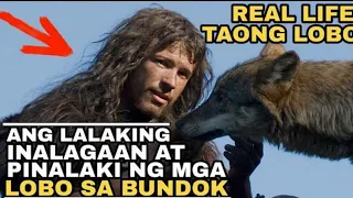 ang taong pinalaki ng lobo panuorin mo to tagalogdubbed tagalogdubbedmovie