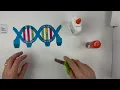 How to Make a 3D Paper DNA Paper Model that Pops Up