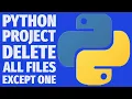 Delete All Files Except One with Python Safe Folder Cleanup Script Project