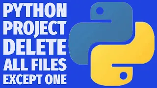 Delete All Files Except One with Python Safe Folder Cleanup Script Project