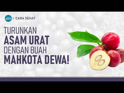 Manfaat Buah Mahkota Dewa, Bisa Turunkan Asam Urat