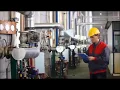 What is an SQF Auditor