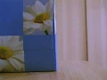 Jade Kwan 關心研 - 假使我漂亮 If I am Pretty