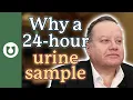 What tests are done on a 24 hour urine sample Why are they still necessary