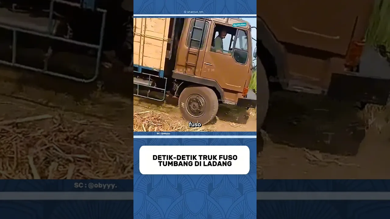 Real action