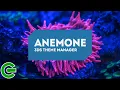 HOW TO SET UP CUSTOM THEMES USING ANEMONE