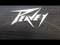 Upgrading my Peavey 18 Black Widow 4 ohm Subwoofer to new 8 Ohm BW Speakers on a budget