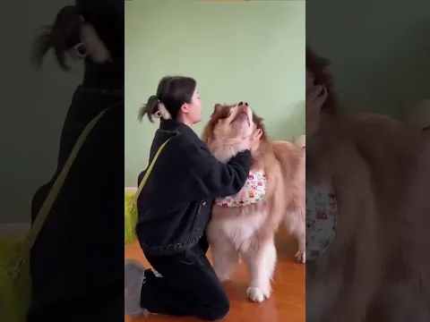 When Mom Treats Her Puppy Like a Horse!