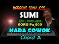 Download Lagu SUMI SUMI KARAOKE VERSI KOPLO TERBARU By Saka