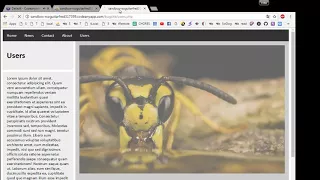 Codeanywhere Tutorials php Connect to a database