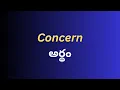 Meaning of Concern in Telugu with Examples