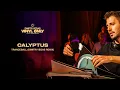 Download Lagu Tranceball - Calyptus (Dimitri Vegas Remix) [Live At Tomorrowland]