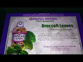 Download Lagu king herbal food supplement radio commercial) (2022)