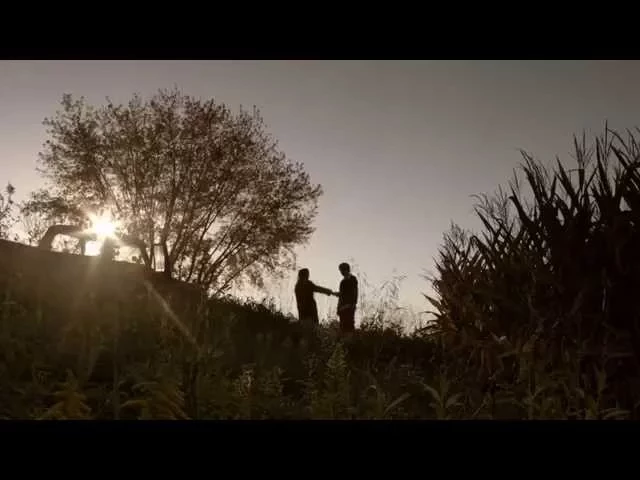 background images