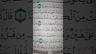 ما معنى قول سيدنا زكريا  رب اجعل لى ايه  سورة  مريم دندنها