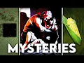 Project Zomboid s Biggest Mysteries