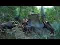 Download Lagu 200 Days of Building a Secret Tree Shelter – Hunting Wild Boars and Surviving in the Wild