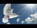 Download Lagu He Is Jesus, Your Lord - Ps. Vetri Kumaseh