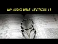 LEVITICUS 13 NIV BIBLE with text