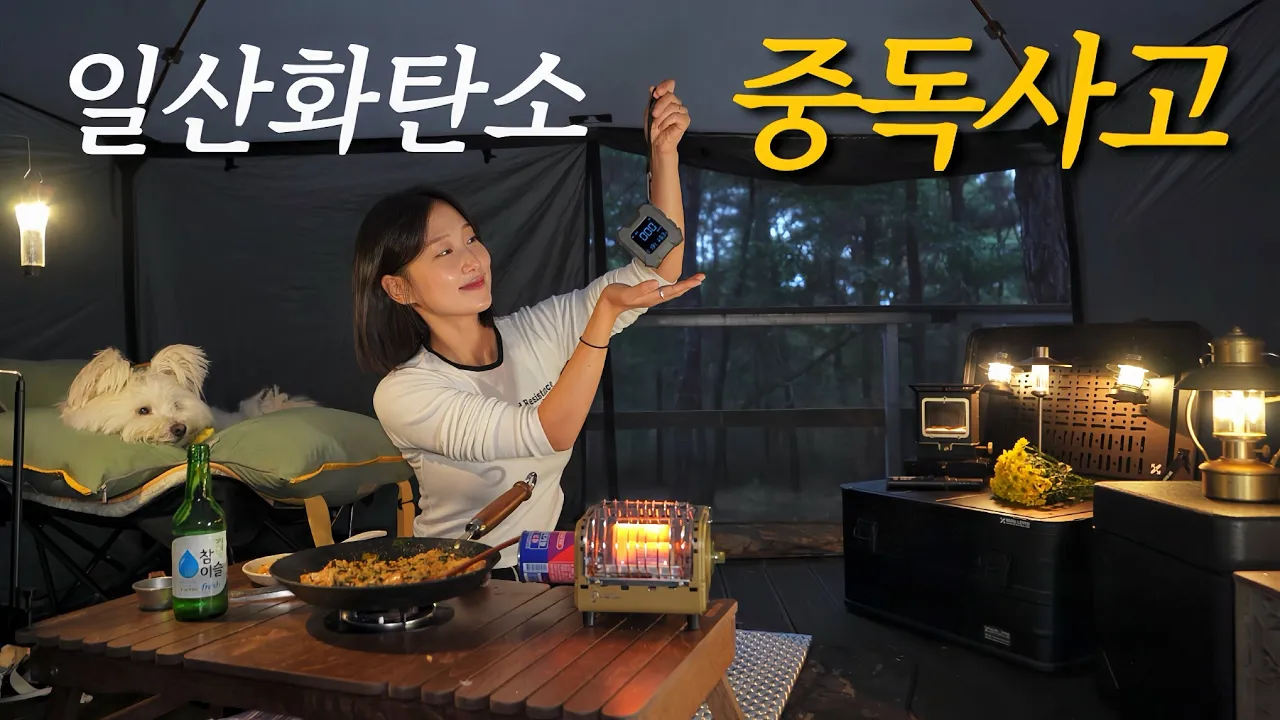 또 발생한 일산화탄소 중독 사망사고...제발 정신차리세요⚠️  | 솔로캠핑 | 애견동반 캠핑 | 가을캠핑 | 파인힐캠프 | 예산 캠핑장 썸네일