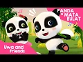 Download Lagu Panda Si Mata Bulat - Lagu Binatang Lucu - Lagu Anak Indonesia
