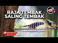 Download Lagu Masteran Jalak Rio Rio Gacor Isian Vs Raja Tembak Cucak Cungkok Super Gacor Isian