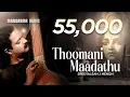 Lagu Thoomani Maadathu | Sreevalsan J Menon | Krishna A Musical Reflection