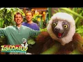 Lagu Plants Are Alive! Green Creatures | Zoboomafoo - WildBrain | Full Episode Compilation