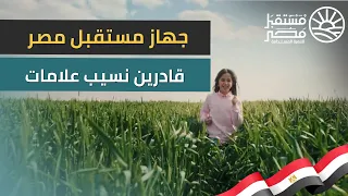 جهاز مستقبل مصر    قادرين نسيب علامات دندنها