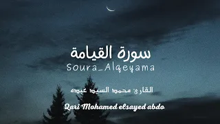 الشيخ محمد السيد عبده سورة القيامة  الشيخ محمد السيد عبده سورة القيامة
