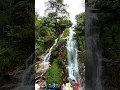 Download Lagu 😱big waterfalls💦(ঝর্না) of Sikkim 🏔️Jhorna #viral #sikkim #shorts