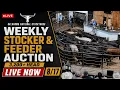 Oklahoma National Stockyards Live Weekly Monday Stocker Feeder Auction 26