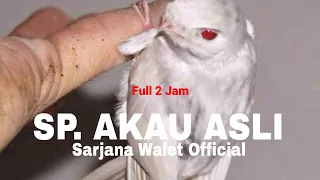 Download SP. AKAU ASLI ORIGINAL FULL 2 JAM MP3