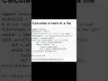 Calculate a hash of a file