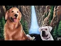Download Lagu Opening To Homeward Bound: The Incredible Journey 1993 VHS