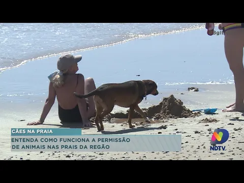 Entenda como funciona a permissão de animais nas praias da região