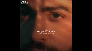 تامر حسني شايف العالم فاضي بنادي عليك 