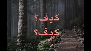                              كيف ملحم بركات كاراوكي دندنها