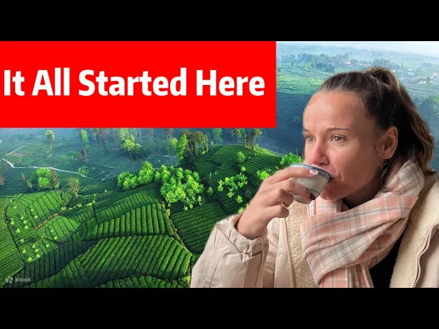 China Tea Culture: Mengding Mountain & Ya'an Tea Factory Journey Experiencing China’s Most Important Culture