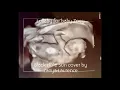 Black Hole Sun- Sound Garden lullaby by Zanya Laurence