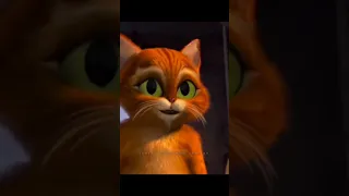 شاص 2025 اكسبلور اشتراك بالقناة لايك 