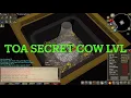 OSRS TOA Secret Cow Level of Lore