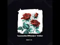 Yaşanmadan Bilinmiyor Vedalar