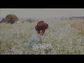 Diviners & Rossy - Wild Hearts