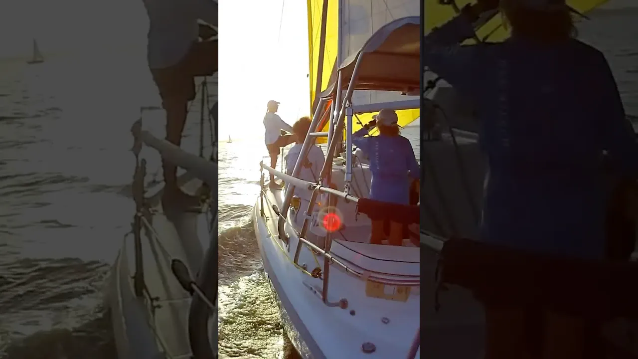 #shorts #racing #water #fun #sailing
