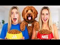 Download Lagu HOND BEPAALT ONZE DAG!🐶